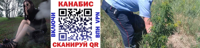 omg рабочий сайт Дмитров Бошки марихуана Ganja